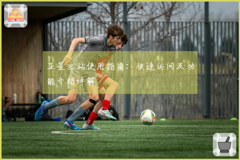 亚星主站使用指南：快速访问及功能介绍详解