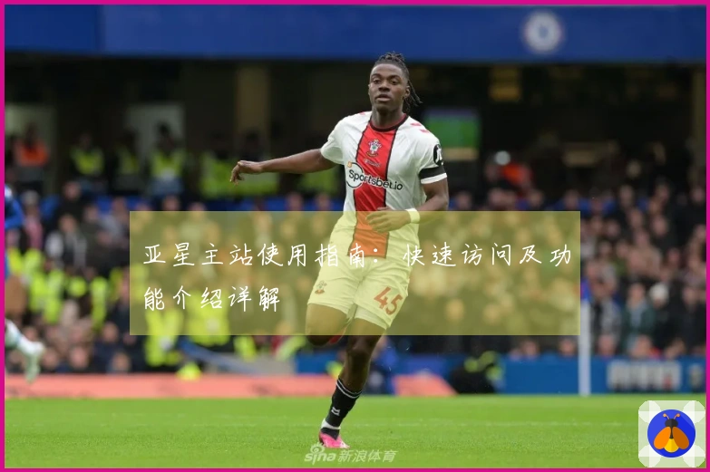 亚星主站使用指南：快速访问及功能介绍详解