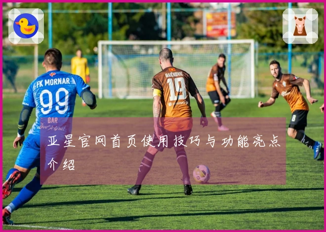 亚星官网首页使用技巧与功能亮点介绍