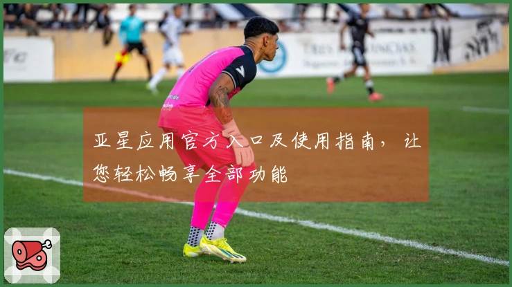 亚星应用官方入口及使用指南,让您轻松畅享全部功能