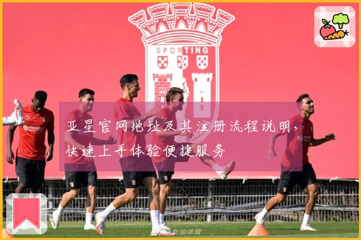 亚星官网地址及其注册流程说明，快速上手体验便捷服务